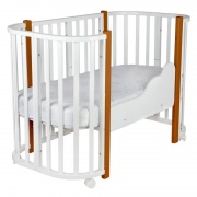   Indigo "Baby Lux" 31 (, , )