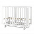  Incanto Papi New ( , )