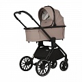 ������� Adamex Spark 2�1