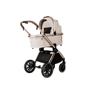 ������� Adamex Spark Special Edition 3�1
